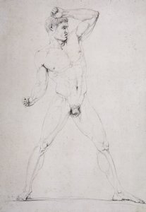 Male Nude, Cougars of Durazzo, fra Pausanias beskrivelse af Nemean Games i hans Rejseplan for Grækenland
